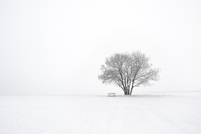 zimowy minimalizm